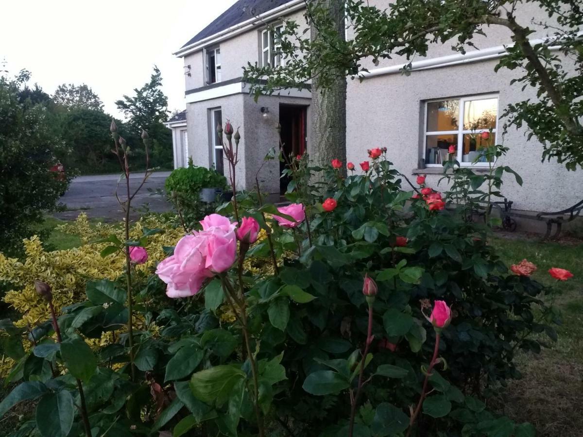 Bed and Breakfast Lisieux House On Lough Neagh Aghalee Exteriér fotografie